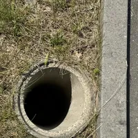 449454828_877737864393137_8284680367562358861_n.jpg